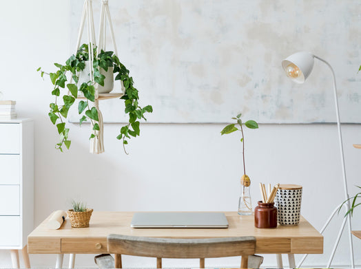 Work From Home Like A Pro